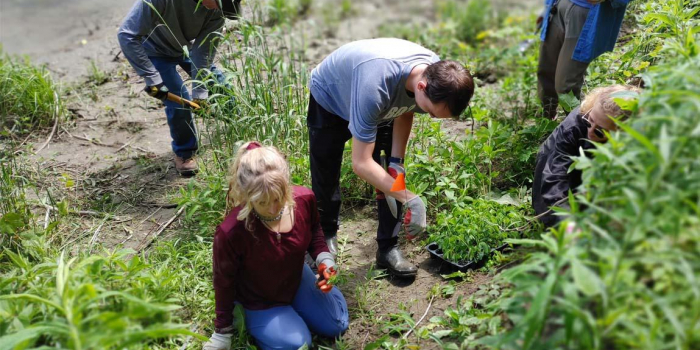 Students plant wild senna and chokeberry seeds in the bank of the Winooski River in Burlington, VT.