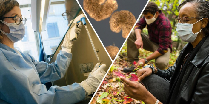 Photo of UVM researchers