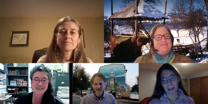 Windows showing participants in the video chat