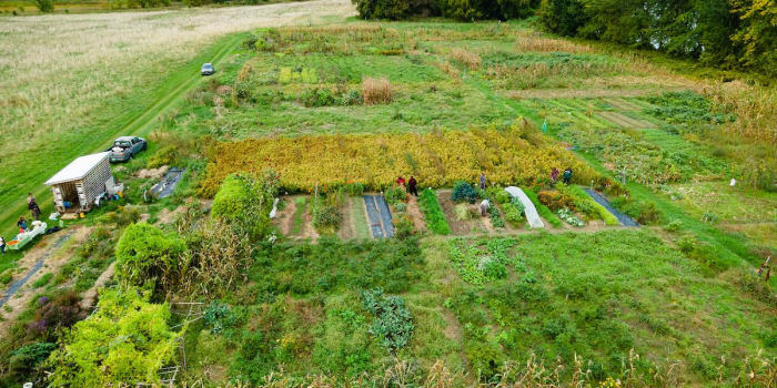 An aerial view of a farm. 