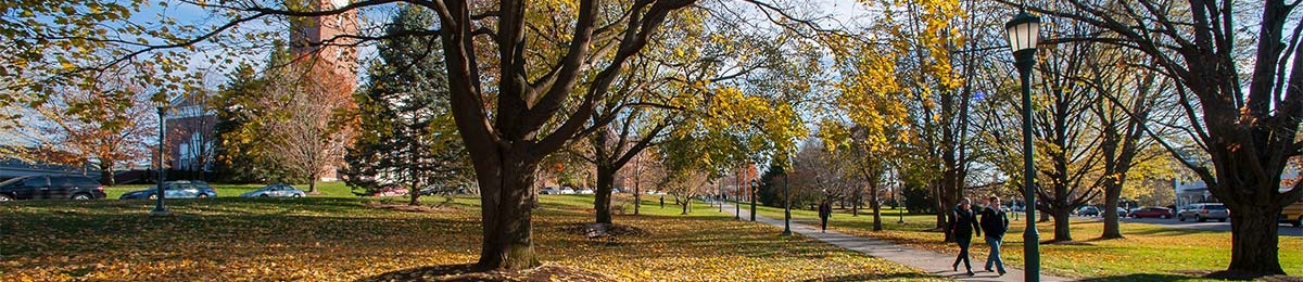 Fall on the green