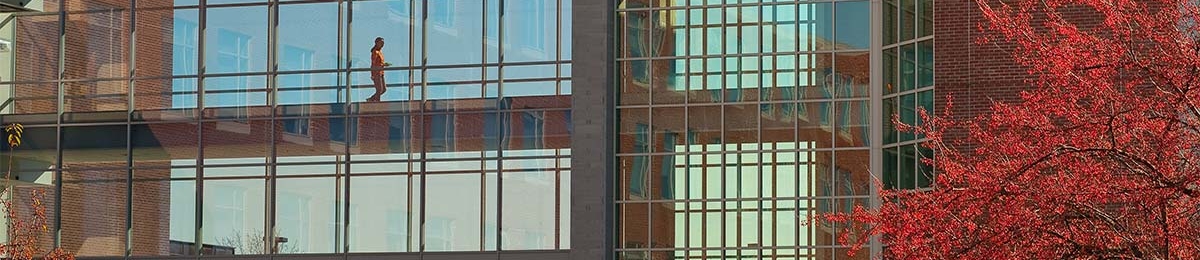 Interior bridge between buildings