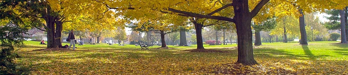 Fall on campus