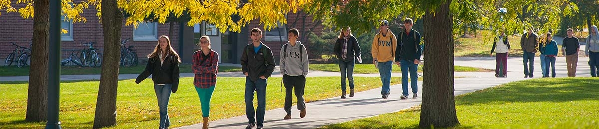 Students walk across the green
