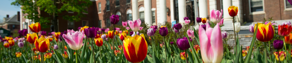 Waterman Building in the spring