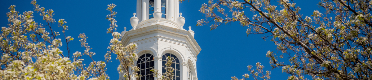 Springtime image of UVM campus