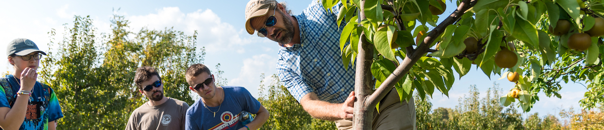 professor teaching about apple tree