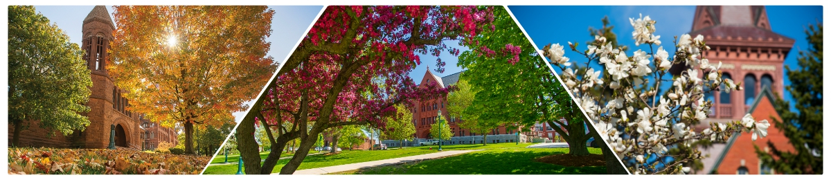 Collage of UVM campus including Billings Library, Williams Science Hall, and Old Mill Tower
