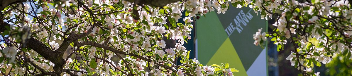 waterman building peeking through blooming trees with an arts at uvm banner hanging prominently 