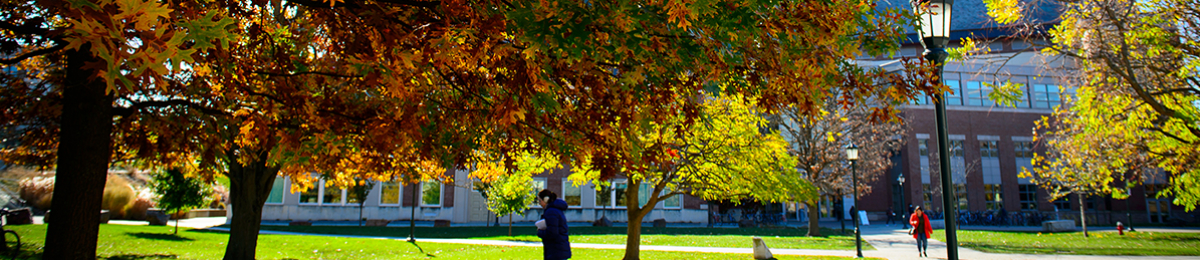 Marsh life science hidden behind fall colors with students walking around