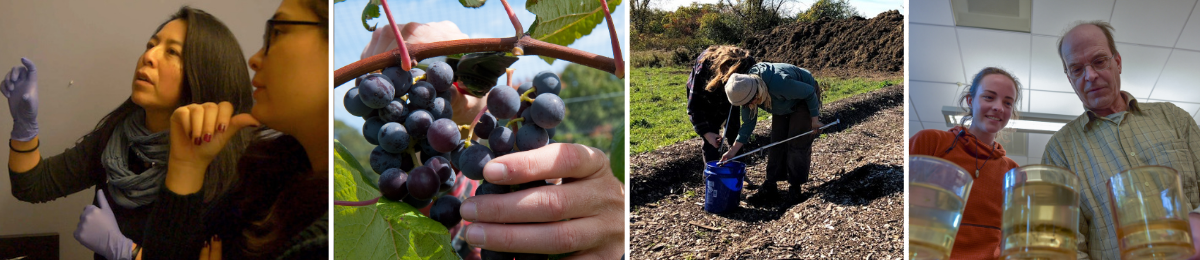Four photos, each depicting a different PSS research activity