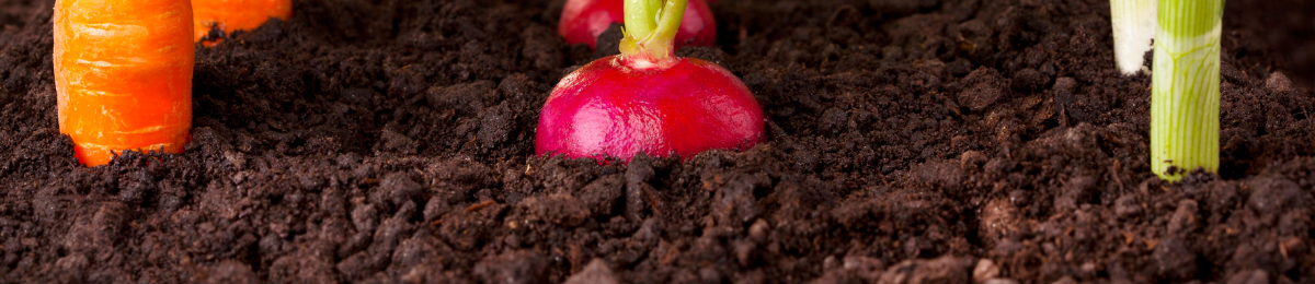 soils