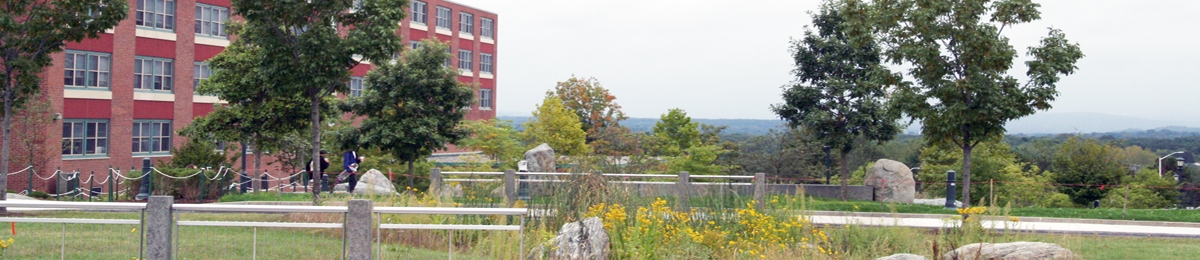 picture of Marsh, Austin, Tupper residence hall