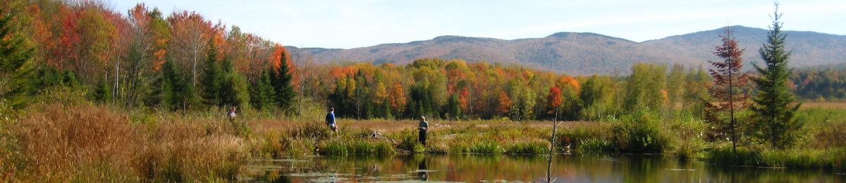students at a pond edge in autumn with trees and mountains in the background