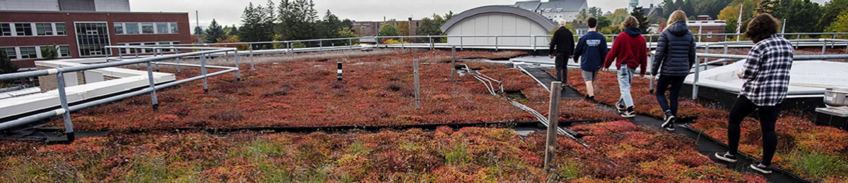 Students walking on Aiken Center green roof