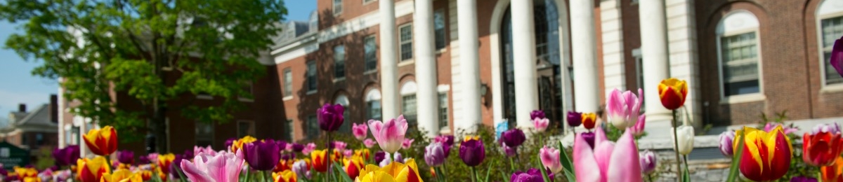 Multi-colored tulips flower beds in front of columned building.