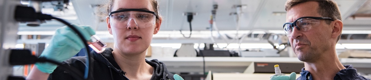 Students and faculty work side by side in the lab