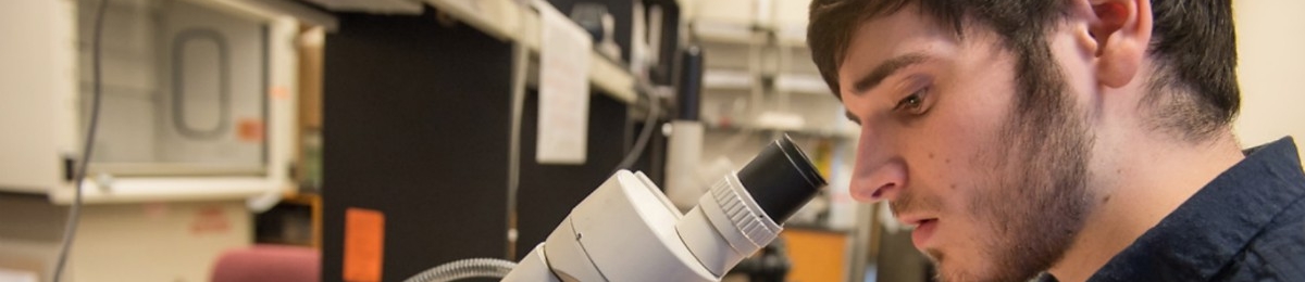 student researcher