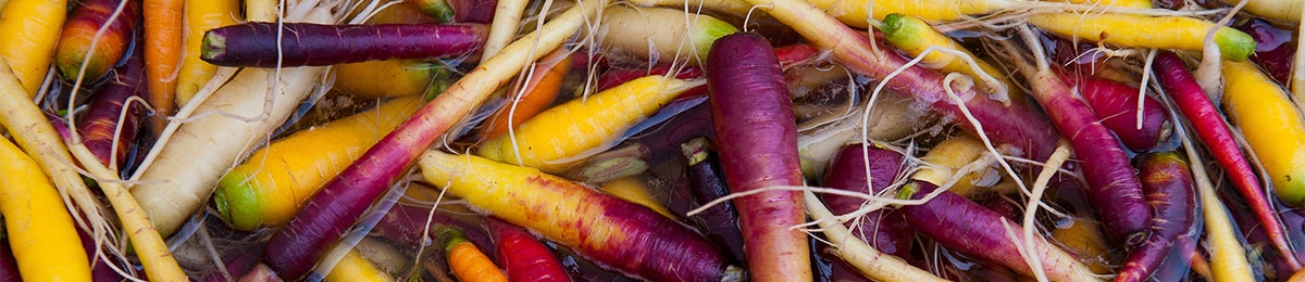 carrots