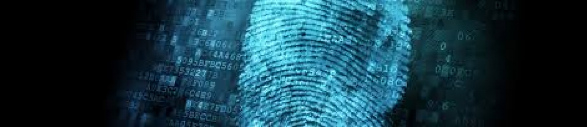 A digital scan of a fingerprint