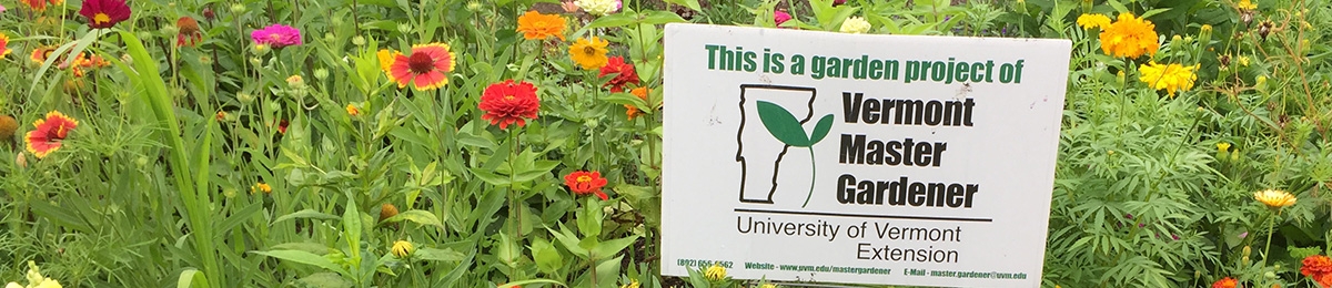 This is a garden project of EMG