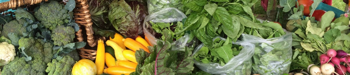 UVM Receives USDA Grant to Spearhead New Farm-to-Consumer Model
