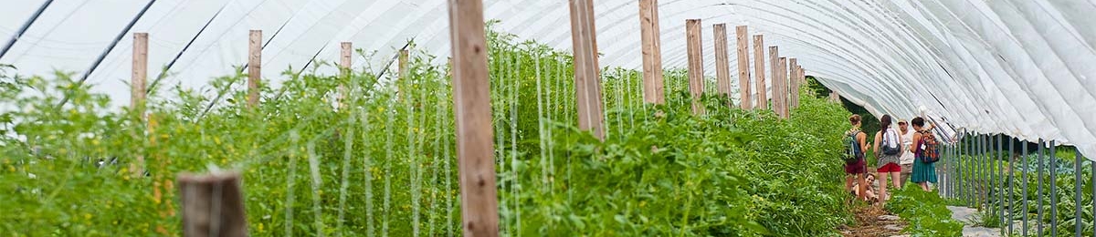 Intervale greenhouse