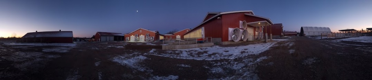 panoramic image of Miller farm barns at sunrise in winter