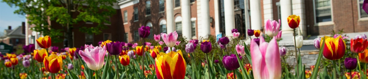 Spring flowers in front of Waterman