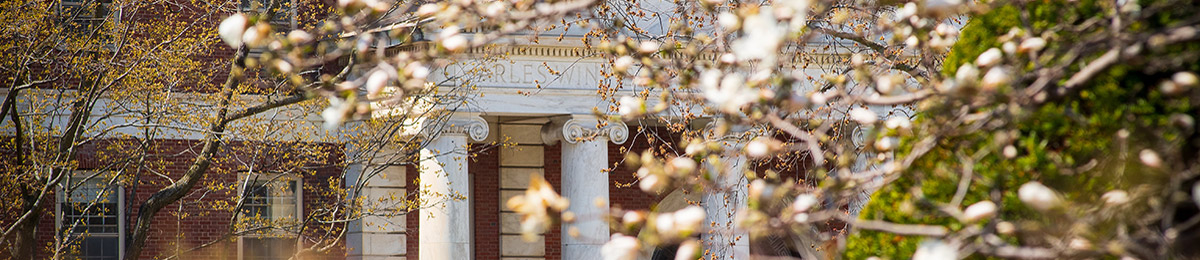 waterman building white flowering tree in foreground