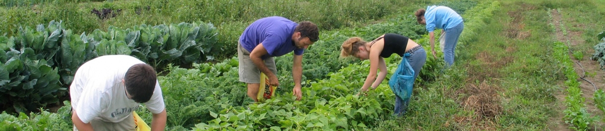 Youth Ag Project