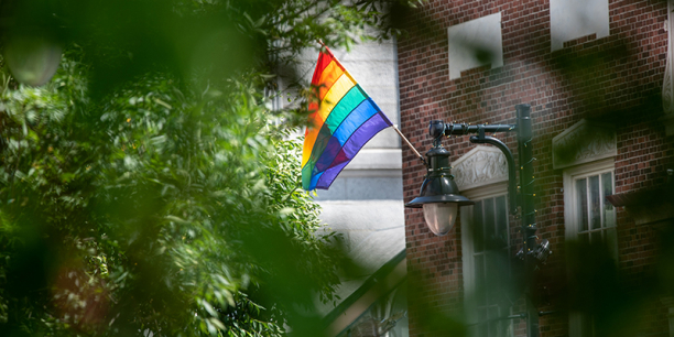 Rainbow Pride flag flies on Church Street behind leafy tree