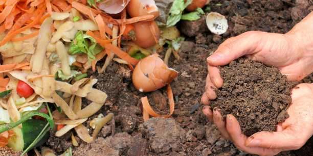 hand holding composted soil with food scraps in the background