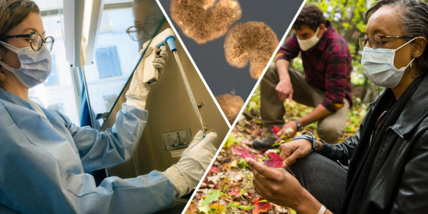 Photo of UVM researchers