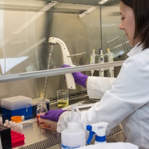 Student working in a lab fume hood