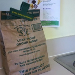 Small brown food waste bag 