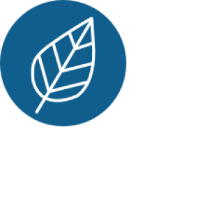 UVM_Careers-Environment