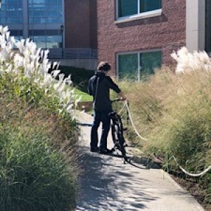 bike rider
