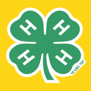 green 4-H clover on yellow background