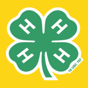 4-H green 4-H clover on yellow background