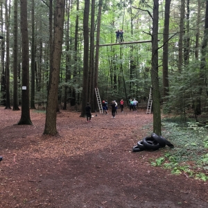 View of the course through the trees