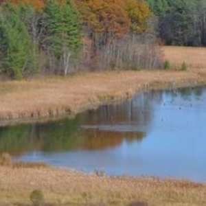 View of Carse Wetlands 