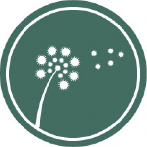 white flower with pollen on green background