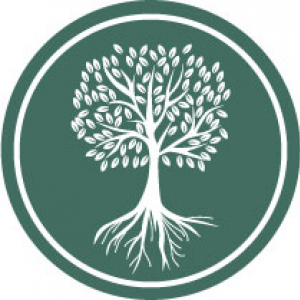 image of tree icon representing case management that has many branches and roots