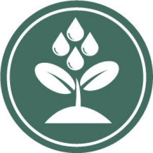 Icon representing individual counseling with a plant being watered