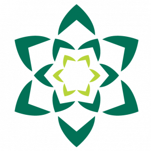 green succulent-like line image