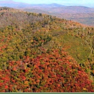 View of Concord Woods