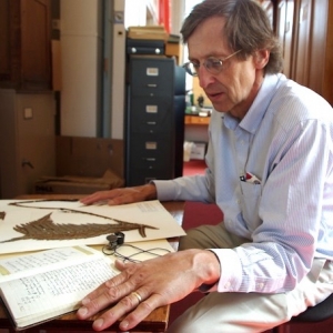 Dave looking at specimens at his desk