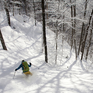 a backcountry skier in the trees