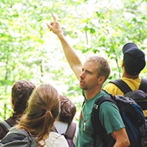 Instructor pointing out something in tree tops to students